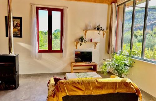 Octon Casa | L'atelier du Salagou