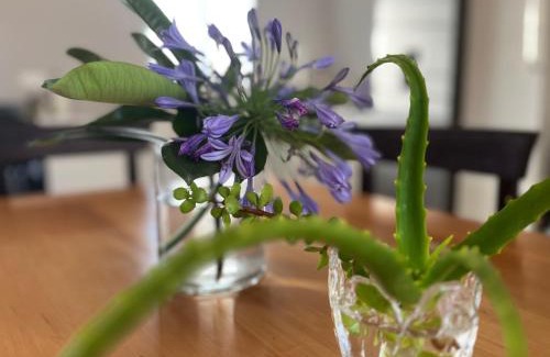 Tulbagh Casa | L'Bloom Country Cottage