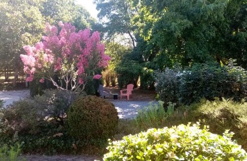 Challans Casa | l'Eden naturiste écureuil