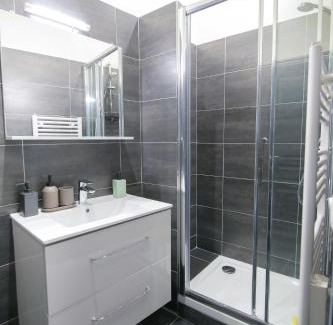 Saint-Roch - Badouillere - Chavanelle Apartamento | L'Eléphant, T2 hypercentre chic et cosy, Wifi par SOVALFI