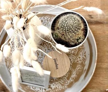 Saint-Etienne Apartamento | L’Escale - Le Boho + garage + NETFLIX