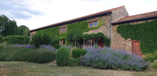Saint-Austremoine Casa | L'Estivante