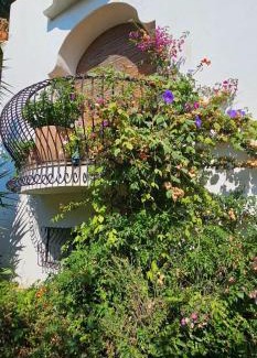 Magazzeno Casa | L'Eucalipto
