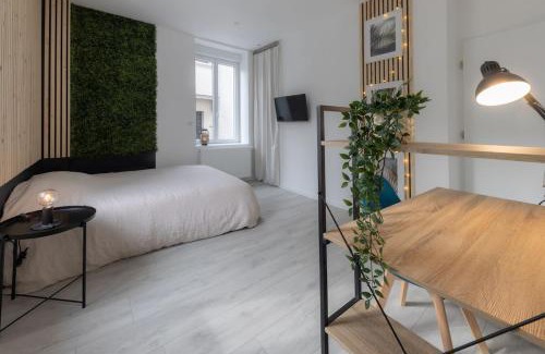 Vesoul Apartamento | L'Évolution with AIR CONDITIONING 1 suite and private garden