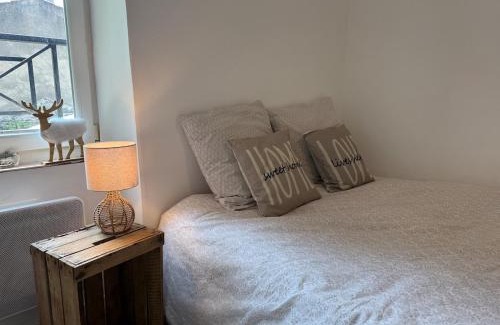 Perignat-les-Sarlieve Casa | L'Hedera - proche Zenith & Calme