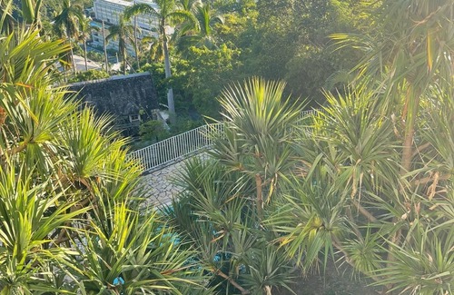 Saint-Denis Apartamento | L'horizon bleu : Sea view, air-conditioning, swimming pool, near airport and hospital for 4 people