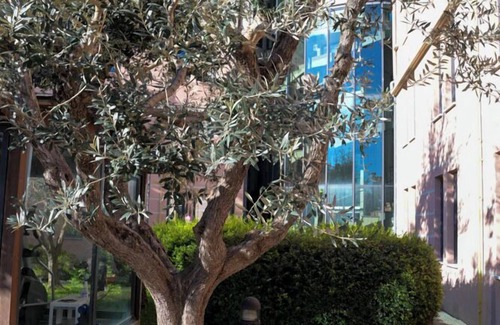 Marina di Pisa Casa | L'INCANTO DI BOCCADARNO