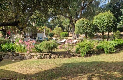 Oletta Casa | L’oléado