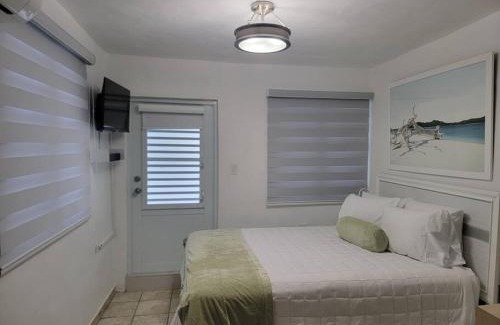 Mayaguez Pueblo Apartamento | L & R Studio