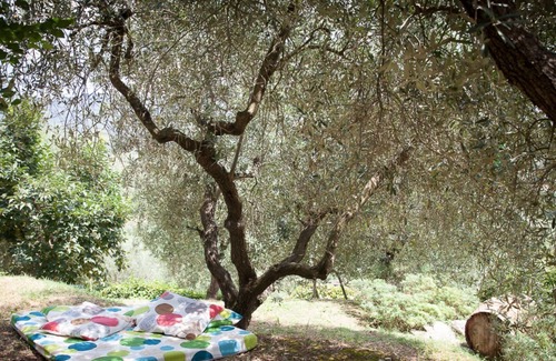 Massa Martana Villa | Propiedad exclusiva en Umbria Massa Martana