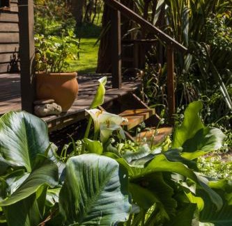 Laguna Brava Casa | La Casita