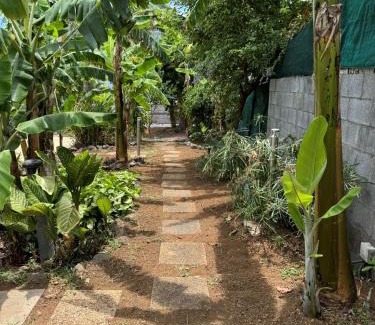 Le Portail Apartamento | La Bananeraie Apt 35m2 piscine jardin tropical parking privé