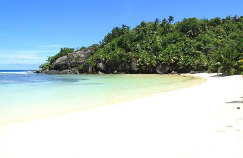Silhouette Island Cabina | La Belle Tortue