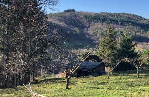 Saint-Apollinaire-de-Rias Chalet De Esquí | La bergerie