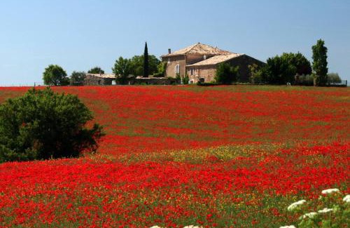 Valensole Casa | La Bergerie in an estate with swimming pool in the heart of the Luberon