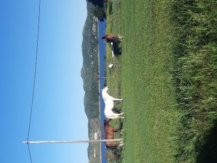 La Estancia Cabina | La Blanquita