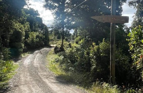 San Isidro Chalet De Esquí | La Bromelia/Cabaña de Montaña, Cerro de la Muerte.