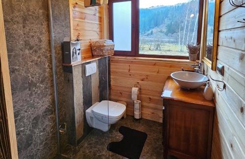 Vatra Dornei Chalet De Esquí | La Căsuță
