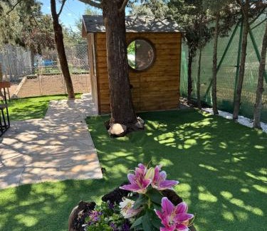 Paredes de Buitrago Chalet De Esquí | La cabaña de Paredes