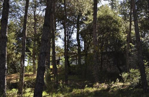 El Barraco Casa | La cabaña del Burguillo