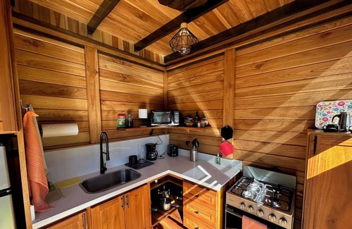 Tayutic Cabina | La Cabaña de Tata: Cozy Cabin, Books, Nature, and Contemplation