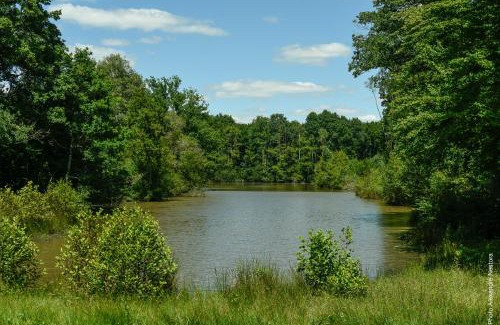 La Bussiere Chalet De Esquí | La Cabane de l'Etang