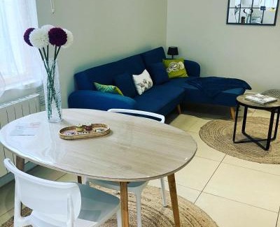 Saint-Jean-de-Losne Apartamento | La calèche, la Diligence, centre St Jean de Losne