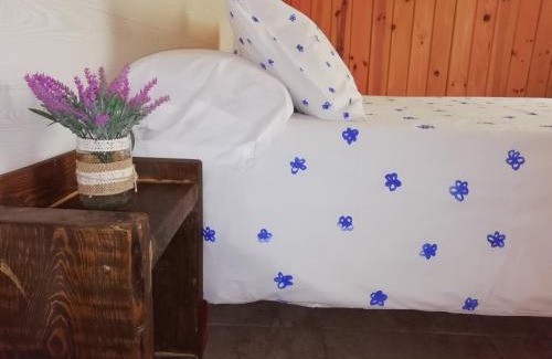 Munopepe Casa | La Casa de Colores