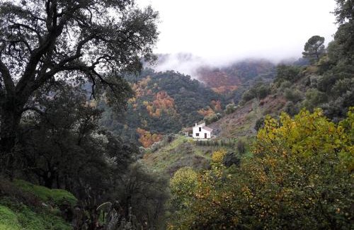 Algatocín Casa | La Casa de la Era