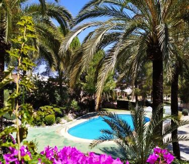 Pedreguer Apartamento | La casa de las Palmeras