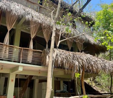 Arroyo Cruz Casa | La casa de los árboles frente a la playa con alberca