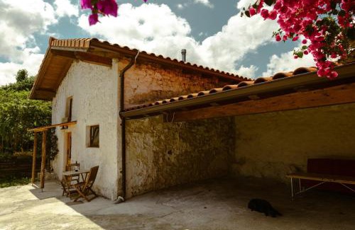 Isla Casa | La casa de los árboles