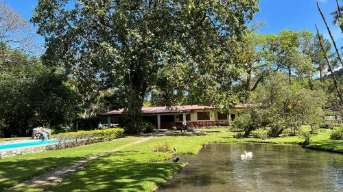El Valle de Anton Casa | La Casa de los Patos