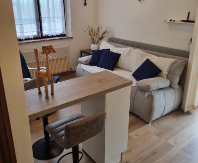 Ravascletto Apartamento | La Casa degli Sbilfs - Wi-Fi, Netflix e Garage Box , a 2 minuti dallo Zoncolan