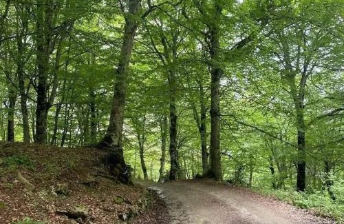 Caronia Casa | La casa dei nonni