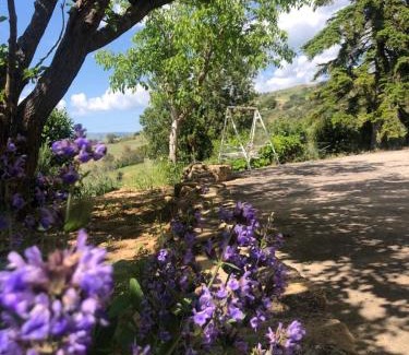 Gagliano Castelferrato Cabina | La Casa Delle Olive