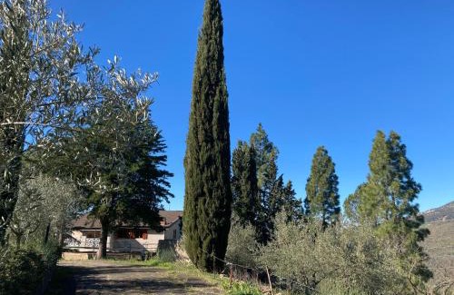 Gagliano Castelferrato Cabina | La Casa Delle Olive