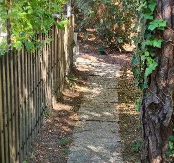 Rosapineta Apartamento | La Casa del mare