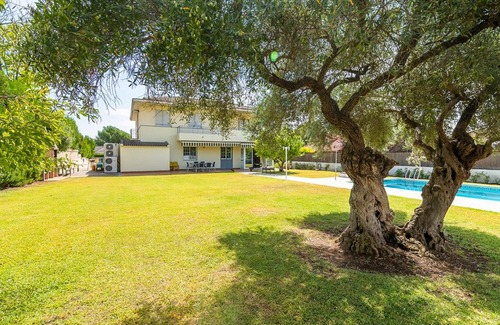 Distrito Norte Sierra Casa | La casa del olivo en Córdoba