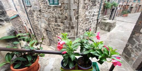 Abbadia San Salvatore Casa | La casa di Cla