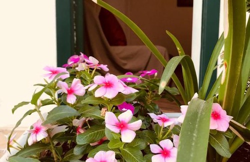 Sferracavallo Casa | La Casa di Cortile Rizzuto