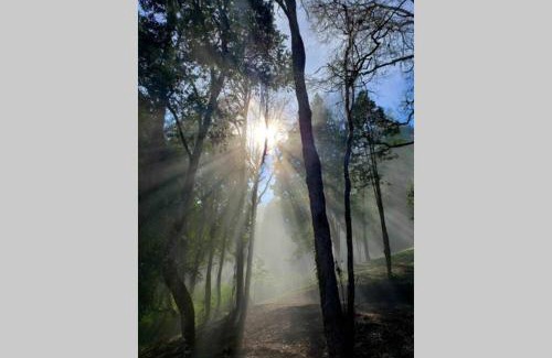 Valdivia Apartamento | LA CASA EN EL BOSQUE con vista al Río