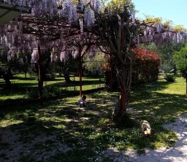 Montignoso Cama Y Desayuno | La Casa Gialla A MONTIGNOSO