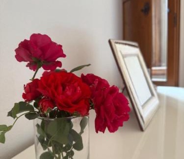 Serre di Rapolano Apartamento | La Casa in Piazza
