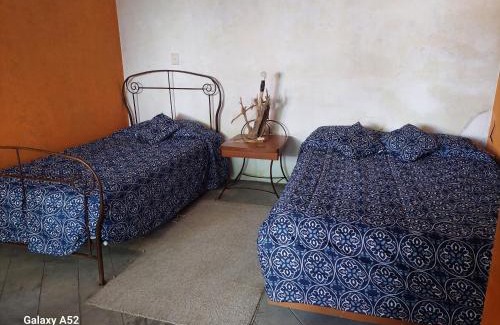 Xochitlán de Vicente Suárez Casa | La Casa D'Alick
