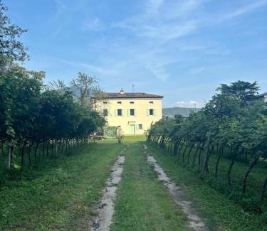 Riva del Garda Apartamento | La Casa nella Vigna