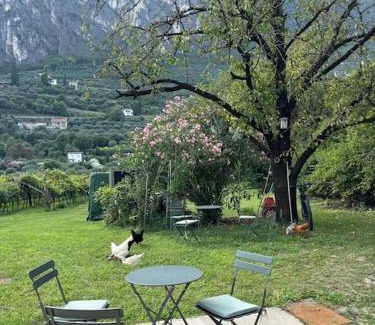 Riva del Garda Apartamento | La Casa nella Vigna