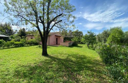 Castagneto Carducci Casa | La Casa Rosa