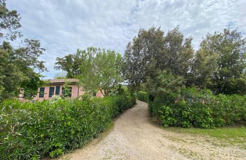 Castagneto Carducci Casa | La Casa Rosa