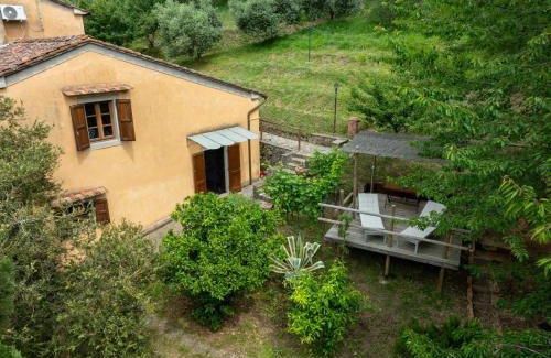 Pescia Casa | La Casa sui Colli